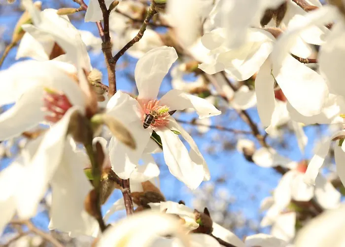 Konstanze Hotel Velden am Wörther See