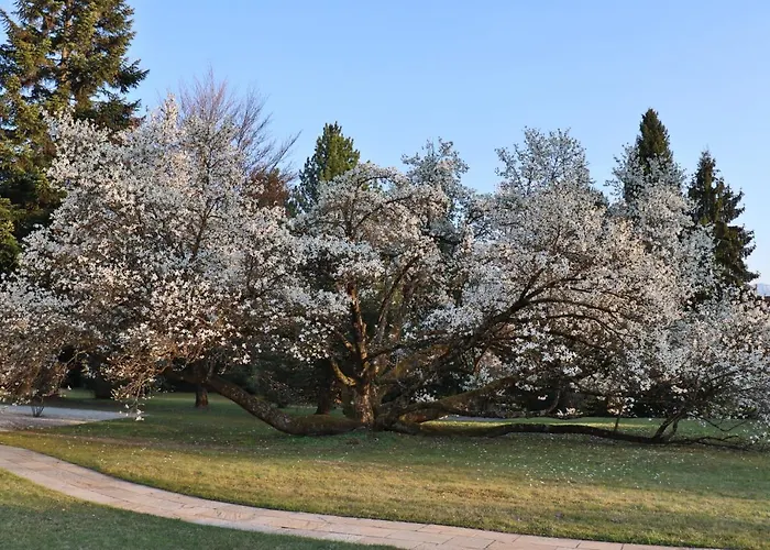 Hotel Konstanze Velden am Wörthersee